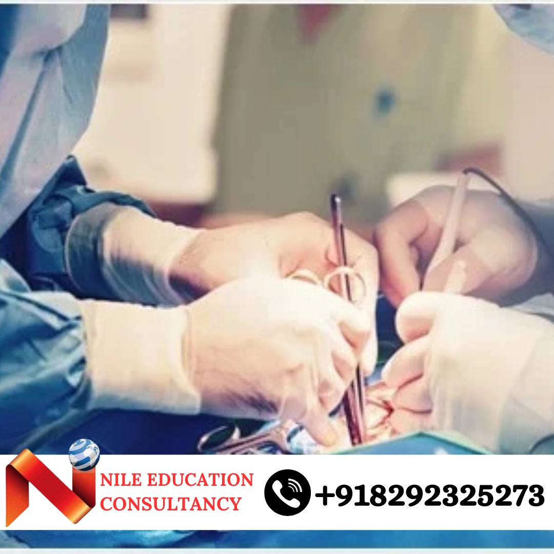 Kemerovo State Medical University Building